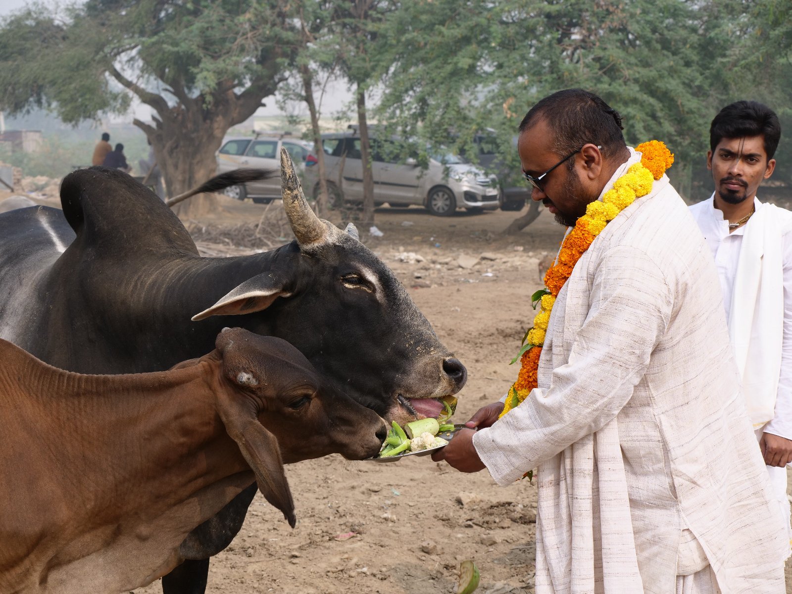  174 Gopashtami Radha kunda Govardhan 19.11.04